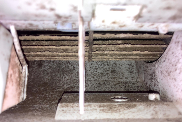 フィルターのお掃除はしていても、中を覗いたことはありますか？