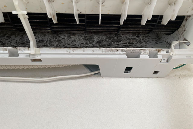 カビだらけの内部もエアコンクリーニングでスッキリ解決！！