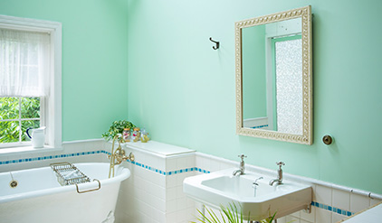 浴室(便器付き or 洗面ボウル)