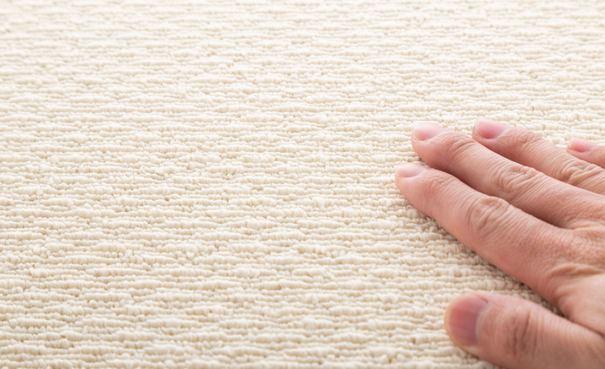 カーペットクリーニング