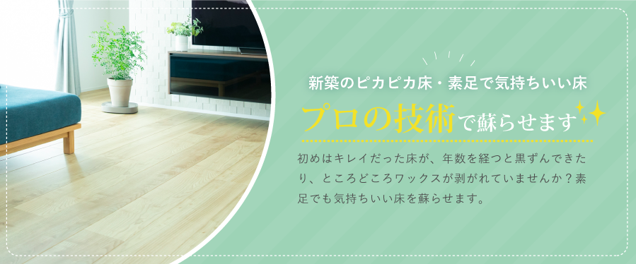 床クリーニング