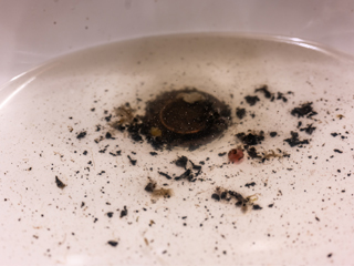 排水管内はこんなに汚い、、、