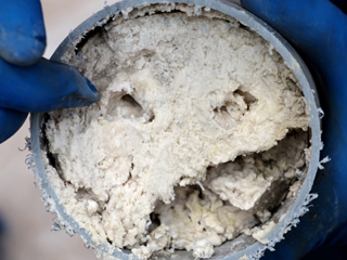 排水管内はこんなに汚い、、、