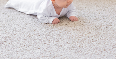 カーペットクリーニング