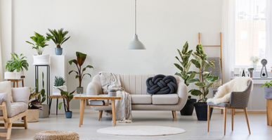 その他（窓・ベランダ、換気口、照明）