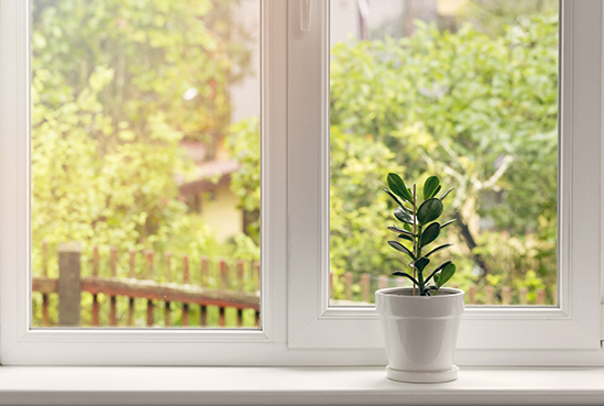 窓クリーニング